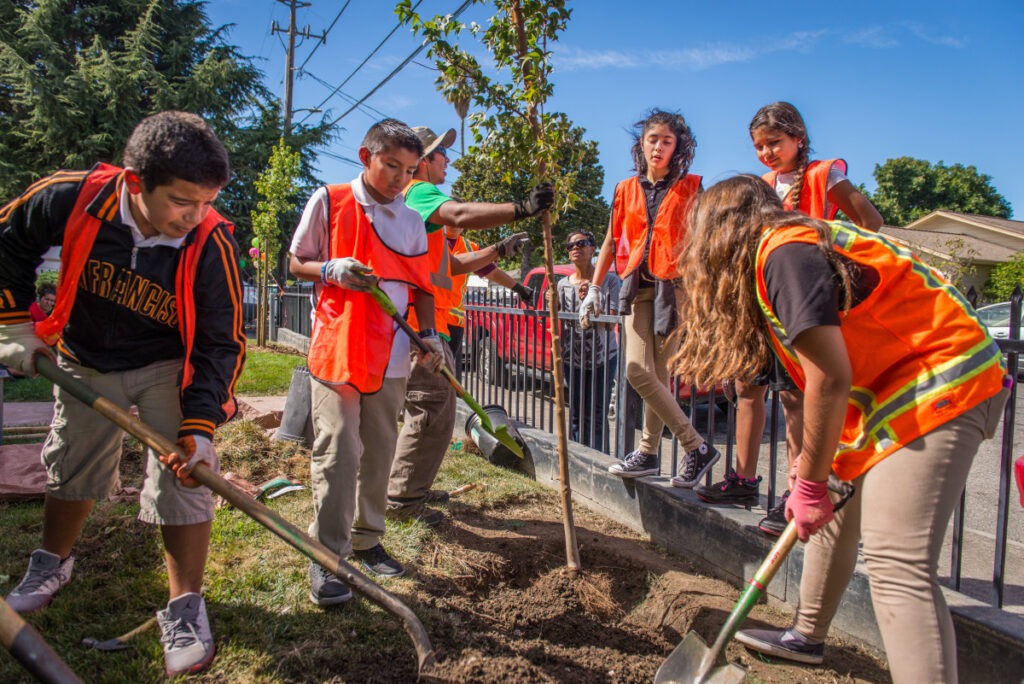 Professional Tree Planting and Landscape Construction Services by Lagunas Landscape